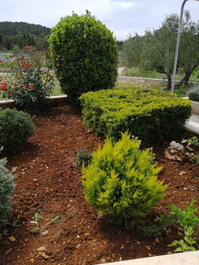 Zrnovo Apartment "Manna מראה חיצוני תמונה