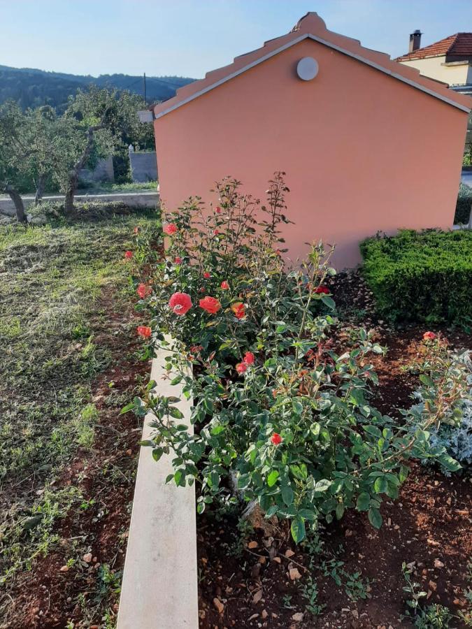 Zrnovo Apartment "Manna מראה חיצוני תמונה